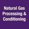 Natural Gas Processing & Conditioning -CE25384A-معالجة وتكييف الغاز الطبيعي 