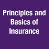 Principles and Basics of Insurance -CE25053B- مبادئ وأساسيات التأمين 